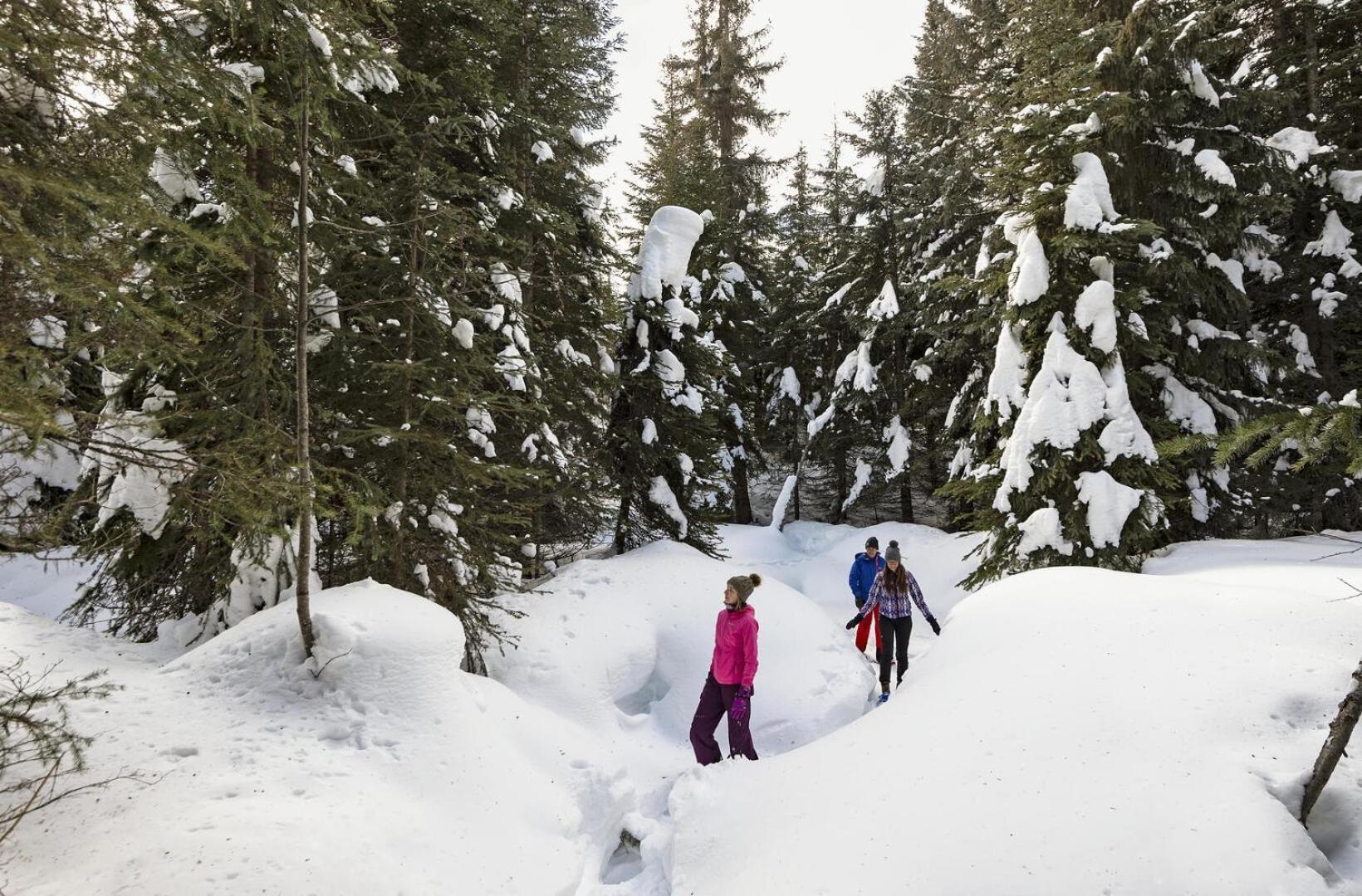 Fireside Lodge #409 By Bear Country Sun Peaks Exterior photo